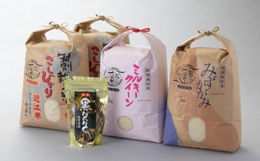 【Ｃ-551】【令和6年産　新米】よこいファーム 特別栽培米3種食べ比べ　各回 計20kg（黒にんにく付）（定期便　20kgを12回お届け） ［高島屋選定品］