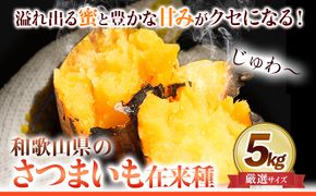 和歌山県のサツマイモ 在来種 厳選サイズ 5kg《12月中旬‐4月下旬頃出荷》和歌山県 日高川町 みはらファーム さつま芋 薩摩芋---wshg_mgsi_b124_22_13000_5kg---