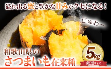 和歌山県のサツマイモ 在来種 厳選サイズ 5kg《12月中旬‐4月下旬頃出荷》和歌山県 日高川町 みはらファーム さつま芋 薩摩芋---wshg_mgsi_b124_22_13000_5kg---