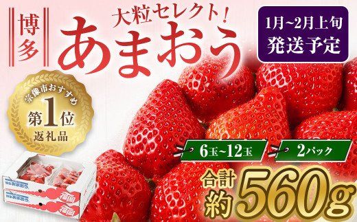 大粒セレクト！大人気のあまおう　福岡県産いちご　280g×2パック【2025年1月中旬～2月中旬発送】_HA0276