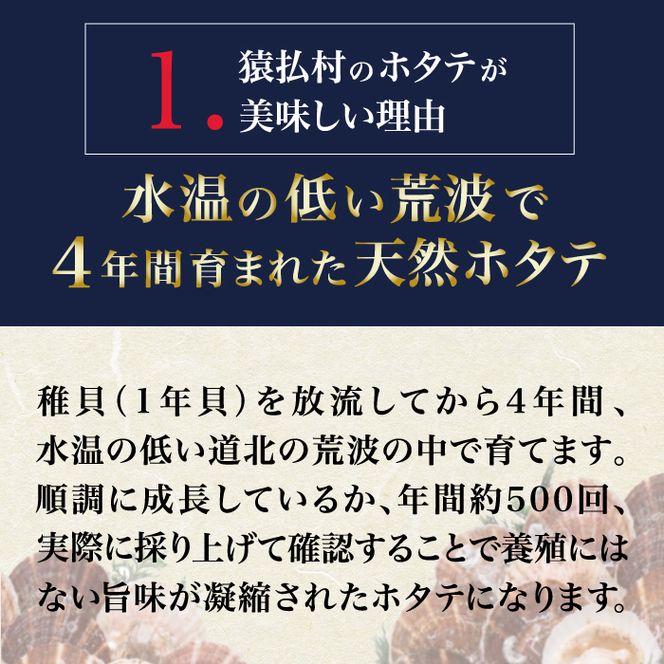 2025年とれたてを急速冷凍北海道猿払産 冷凍ホタテ貝柱 500g(25 2025年とれたてを急速冷凍北海道猿払産 冷凍ホタテ貝柱 500g(25