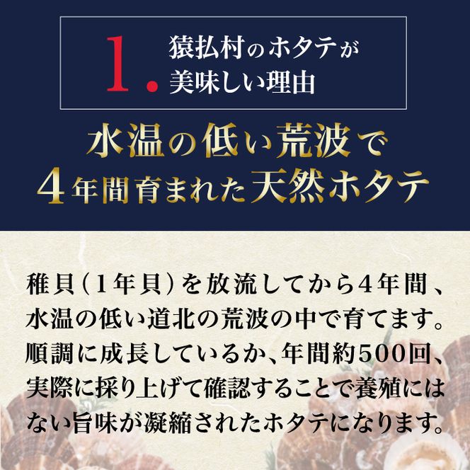 2024年とれたてを急速冷凍 北海道猿払産　冷凍ホタテ貝柱　500g（25～30玉）【0104202】