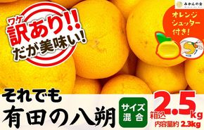 八朔 訳あり それでも 有田の八朔  (はっさく) 箱込 2.5kg (内容量約 2.3kg) サイズミックス B品 和歌山県産  産地直送【おまけ付き】【みかんの会】AX243