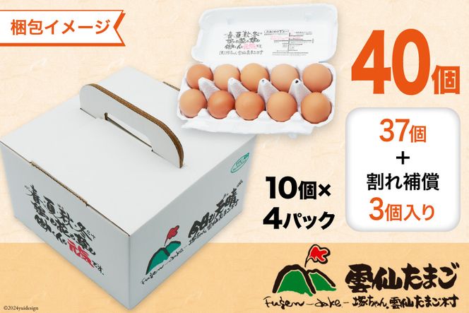 AI032 6回 定期便 雲仙たまご 40個 (10個入り×4パック) (37個＋割れ補償3個入り) [ 卵 たまご 生卵 鶏卵 赤卵 玉子 新鮮 塚ちゃん雲仙たまご村 長崎県 島原市 ]