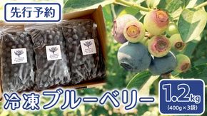 《 先行予約 》冷凍 ブルーベリー 400g×3袋  【2024年8月上旬頃より発送開始】冷凍 大粒 フルーツ 果物 くだもの おやつ 無農薬 農薬不使用 お取り寄せ 贈り物 ジャム スムージー [BK003us]