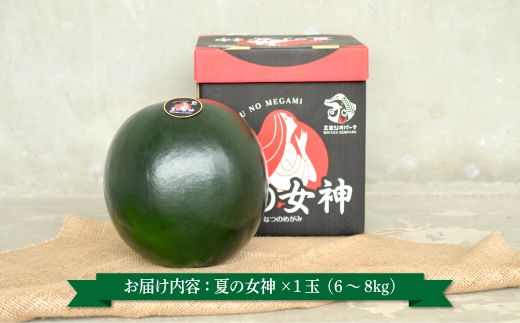 《2026年分受付中》『夏の女神』大玉！種が少なくて甘い黒皮スイカ1玉入（6～8kg）【01061】