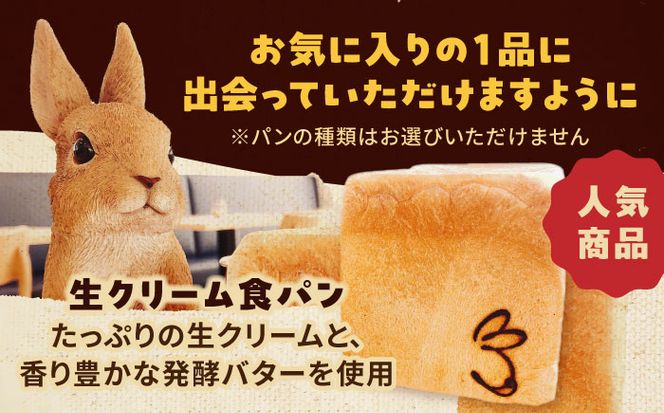 【3回定期便】Petit Lapin 箱いっぱいのおまかせパンセット M 菓子パン 総菜パン 食事パン 愛西市/Petit Lapin【配達不可：離島】[AEBI003]