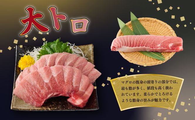 船元が直送! 厳選 天然 南マグロ 650g | 赤身 中トロ 大トロ セット ミナミマグロ鮪 南マグロ まぐろ 鮪 食べ比べ みなみまぐろ ワケアリ わけあり 訳あり 刺身 さしみ 刺し身 冷凍 漬け 海鮮 丼 父の日 高知県 室戸市