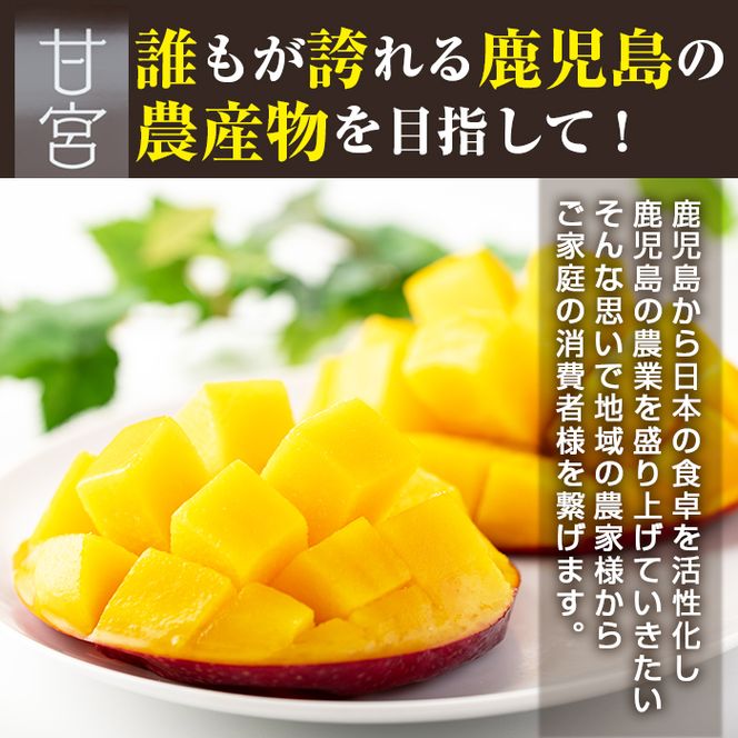 【32845】＜数量限定＞鹿児島県産！南国の恵み！まるごと冷凍完熟マンゴー(約2.5kg・5-7個)果物 フルーツ 果実 冷凍 デザート 国産【甘宮】