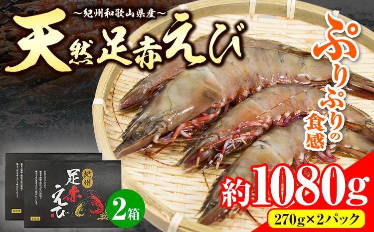 紀州和歌山産天然足赤えび 540g×2箱(270g×4パック) 化粧箱入 魚鶴商店[2024年11月上旬-2月末頃出荷]和歌山県 日高町 足赤えび えび エビ---wsh_fhuo2_ac112_23_35000_4p---