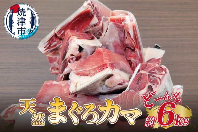 yÉĒÎsza10-907@傫 VR ܂ J} Ɩp 6kg BBQɂ