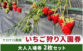 いちご狩り大人入園券2枚セット◇ ※離島への配送不可