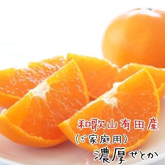 和歌山有田産 せとか（ご家庭用）約4～5kg 高級希少柑橘 芳醇で濃厚な甘さ。    AO044
