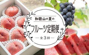 定期便全3回　和歌山の人気の夏のフルーツをお届け！XH92154