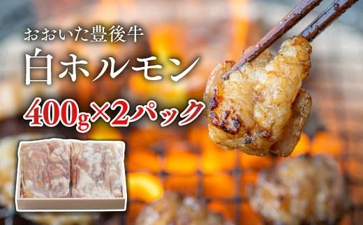 0C1-128 おおいた豊後牛　白ホルモン（400g×2P）