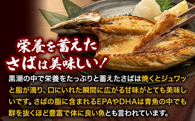 地元産 さば干物 5尾 株式会社はし長 《30日以内に出荷予定（土日祝除く）》 和歌山県 日高町 さば 鯖 干物 ---wsh_fhsn8_30d_23_12000_5b---