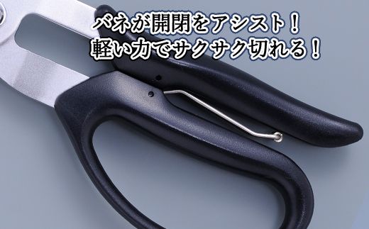 H9-101 ALLEX スーパーハードはさみ【段違い刃】（SH-1 17211）