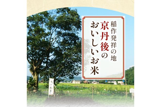 2024年産 京都・京丹後峰山 特別栽培米夢ごこち 10kg 【白米】 1等米 検査済証付　MF00027