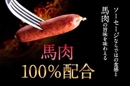 馬肉100%ソーセージ 2kg (500g×4袋) 肉 馬肉 ソーセージ 2kg 熊本県長洲町《30日以内に出荷予定(土日祝除く)》---ng_fkgumasose_30d_24_15000_2kg---
