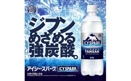 【2ヶ月定期便】【強炭酸】 カナダドライ(CANADA DRY) コカ・コーラ アイシー・スパーク 500ml×24本 ※離島への配送不可