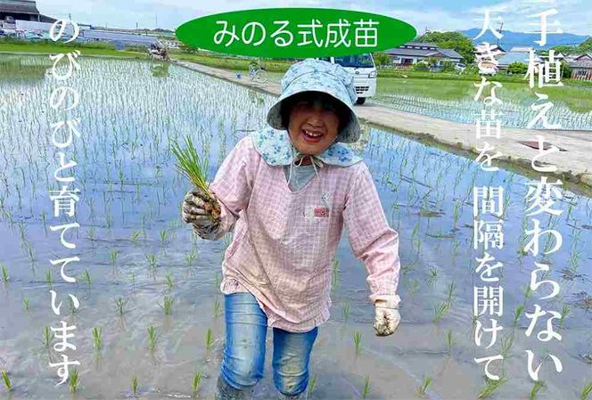 伊賀米コシヒカリ特別栽培米「真米」白米5kg