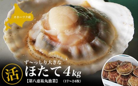 オホーツク産 『活』 ほたて 4kg（17～24枚） SRMN015