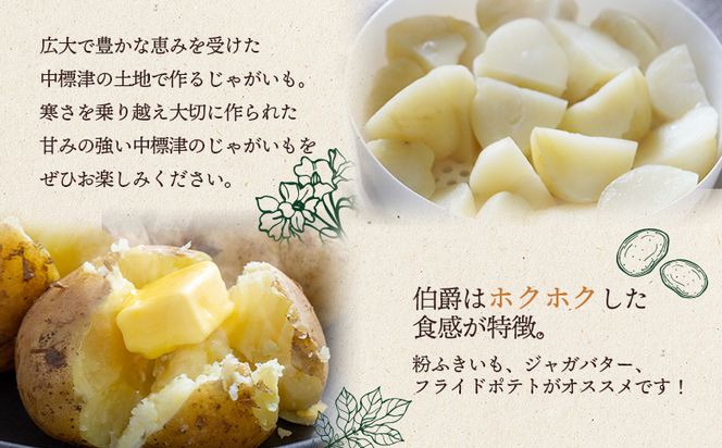 上原農場直送　じゃがいも（伯爵） 10kg【S～2Lサイズ混合】【6600301】