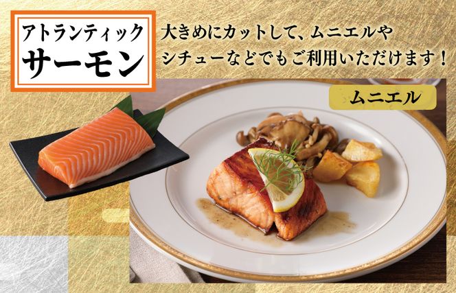 nbj0004 【南予ビージョイ】サーモン＆国産活〆 真鯛  お刺身セット【小分け 訳あり サイズ不揃い 刺身 海鮮丼 人気 オススメ 冷凍】