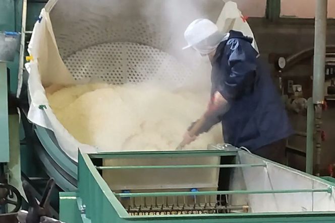 味噌 山梨県認証の甲州味噌を含む3種セット 計2.5kg [井筒屋醤油 山梨県 韮崎市 20742534] みそ 食べ比べ 米味噌 麦味噌 合わせ味噌