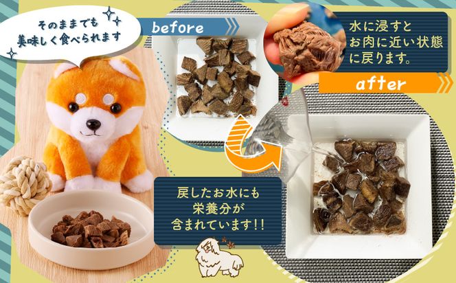 ※使用しない※【増量】犬用　鹿肉フリーズドライ（23g）　K223-001