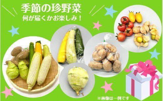 上田さんちの季節の珍野菜詰合せ_1878R
