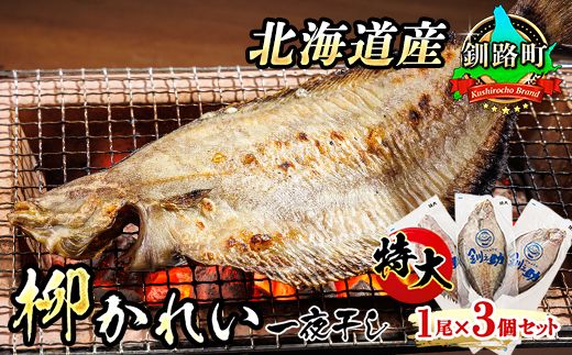 北海道産 特大 柳かれい 一夜干し 1尾×3個セット | おつまみ 焼魚 焼き魚 定食 魚 干物 セット ひもの 冷凍 人気の 訳あり! 年内配送 年内発送 北海道 釧路町 釧路超 特産品 121-1920-26