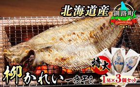 北海道産 特大 柳かれい 一夜干し 1尾×3個セット | おつまみ 焼魚 焼き魚 定食 魚 干物 セット ひもの 冷凍 人気の 訳あり！ 年内配送 年内発送 北海道 釧路町 釧路超 特産品　121-1920-26