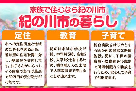 和歌山県 紀の川市 応援寄附 1口 1000円【返礼品なし】---kifunomi---