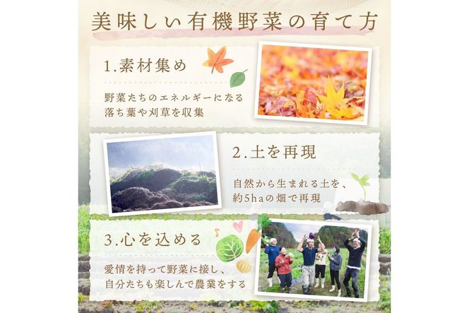 【年12回定期便】＜てんとうむしばたけ＞オーガニック野菜セット　有機野菜6～7種(2人用)　BR00061