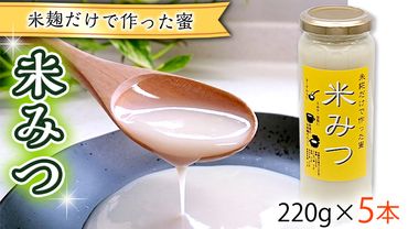 米糀だけで作った蜜　【米みつ】×5個 [AC02-NT]