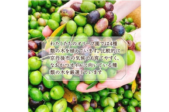 国産100％　『太陽と雪のオリーブ』 KANDAN エキストラバージンオリーブオイル　180ｇ　京丹後産100％　DZ00009