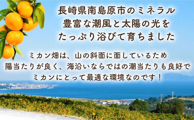 【2024年10月中旬〜発送】こだわりの 温州みかん 約 8kg / みかん フルーツ 柑橘 蜜柑 ミカン / 南島原市 / 長崎県農産品流通合同会社 [SCB037]