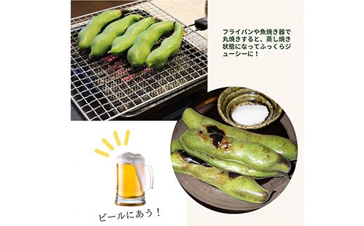 甘～い そら豆 4kg【期間限定】京都府・亀岡産 自然栽培のかたもとオーガニックファームよりお届け ※2026年5月上旬～6月上旬頃に順次発送予定 ※離島への配送不可