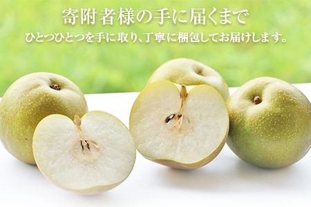 『上田農園』の玉東梨　予約受付中　たっぷり約5kg  6-16玉前後《8月中旬-10月上旬頃出荷》 熊本県 玉名郡 玉東町 梨 ナシ フルーツ 果物 送料無料 ギフト 贈答 5kg---sg_cuedanashi_g810_25_13500_5kg---