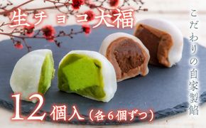 0C1-112 （12個入）生チョコ大福、抹茶生チョコ大福詰合せ