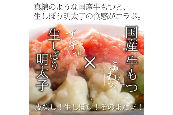 博多明太もつ鍋 セット（4～6人前） [ベネフィス 福岡県 筑紫野市 21761409] もつ鍋 モツ鍋 もつ モツ 明太子 めんたいこ 博多 福岡 国産 国産牛 本場 ホルモン 冷凍