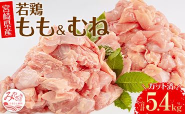 宮崎県産 若鶏 もも・むね 切り身 小分けパック 合計5.4kg_M241-005