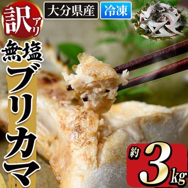 ＜訳あり＞ 無塩 ブリカマ (約3kg)大分県産 国産 ぶりかま ブリ ぶり 鰤 養殖ブリ 煮つけ 鰤かま カマ焼き 冷凍 大分県 佐伯市【ET002】【(有)三宅水産】