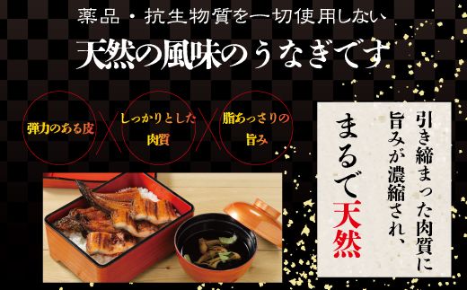 R5-012．四万十川優化イオンうなぎ蒲焼5尾（ボイル肝、たれ付き）