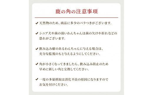 鹿の角 犬のおもちゃ ペット用 LLサイズ ( ペット おもちゃ 鹿 角 )【079-0005】