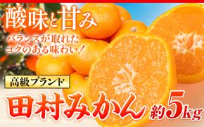 【先行予約】みかん 高級ブランド 田村みかん 5kg 株式会社魚鶴商店《11月下旬-2月上旬頃出荷(土日祝除く)》和歌山県 日高町 柑橘 フルーツ くだもの 果物---wsh_uot92_11g2j_25_17000_5kg---