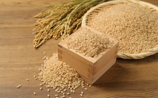 大自然米 夢つくし 玄米 計10kg (5kg×2個) お米