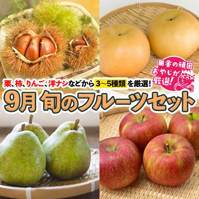 旬のフルーツセット 9月号【令和6年9月より発送開始】 田舎の頑固おやじが厳選！ [BI76-NT]