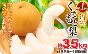 【2025年 先行予約 】 梨 くまもと梨 梨 秋 旬 なし 幸水 豊水 先行 果物 くだもの フルーツ ナシ 梨 先行予約 送料無料 あきづき 甘太 新高 新興 約3.5kg 5玉～15玉前後 熊本県産【着日指定不可】《2025年8月下旬‐11月中旬頃より順次発送》旬 果物 お取り寄せ---fn_cngsnasi_h811_r7_10500_3500g---